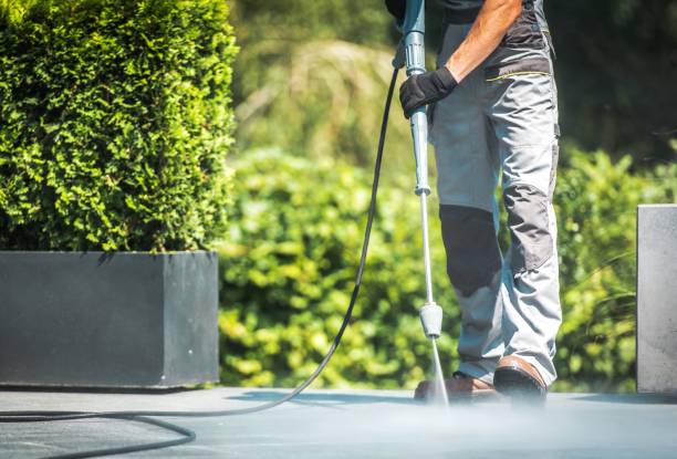 Best Dumpster Area Cleaning  in Orida Gulf Coast University, FL