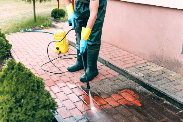 Spring Cleaning in Florida Gulf Coast University, FL