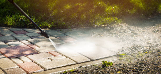 Best Gutter Cleaning  in Orida Gulf Coast University, FL